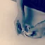 うさぎと犬