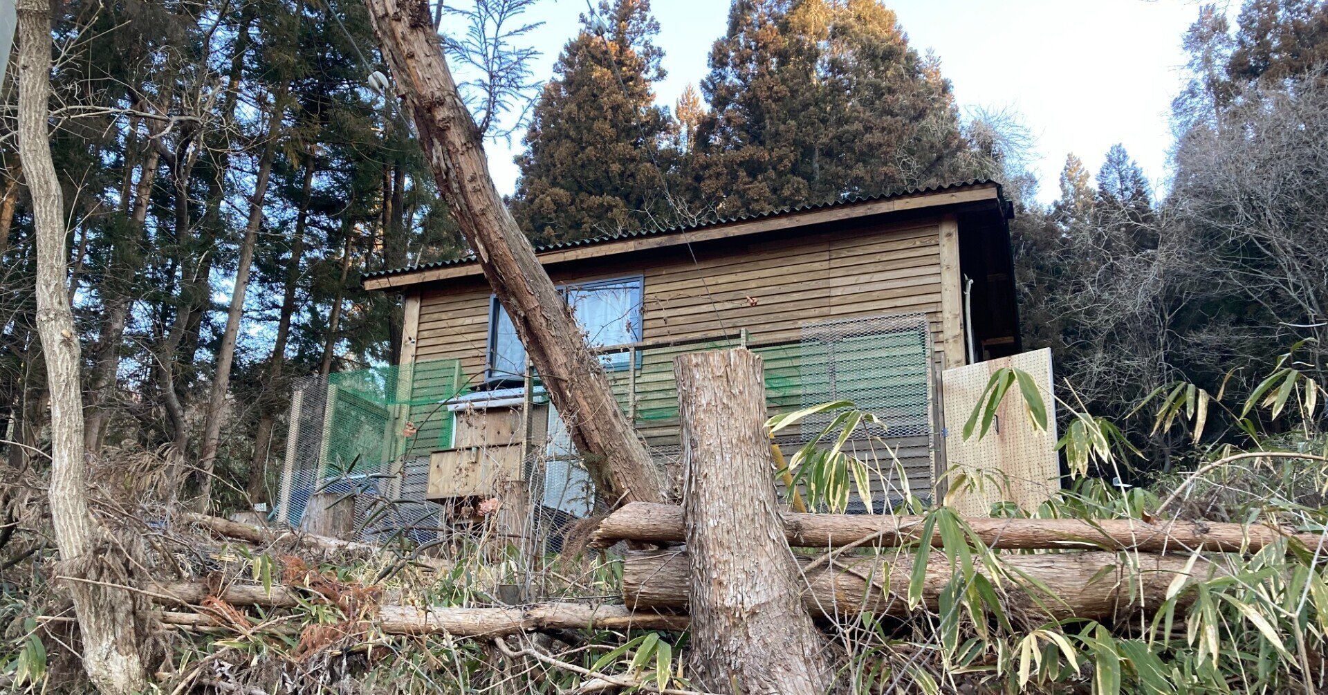 完成！新鶏小屋（新・鶏小屋作り6）｜一城ひとま