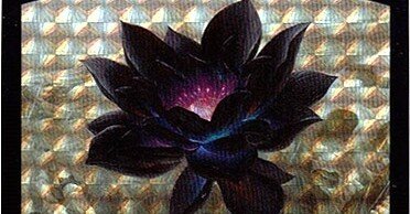 高騰】今ブラック・ロータスに何が起きているのか？（2/15/2021