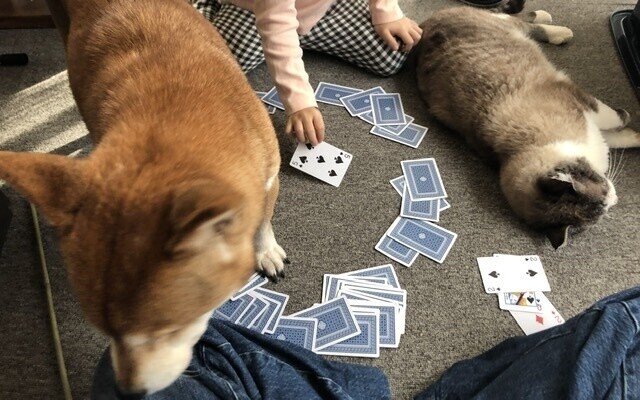 はじめてのトランプゲーム つりタコ Note はじめてのトランプゲーム つりタコ Note