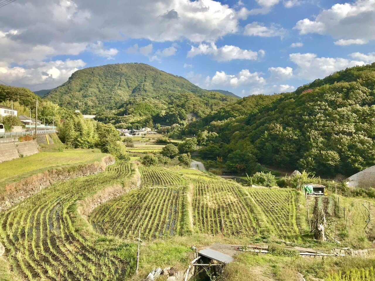 瀬戸内海の美しい風景とグルメ 小豆島の 中山千枚田 と こまめ食堂 Pict Map Note