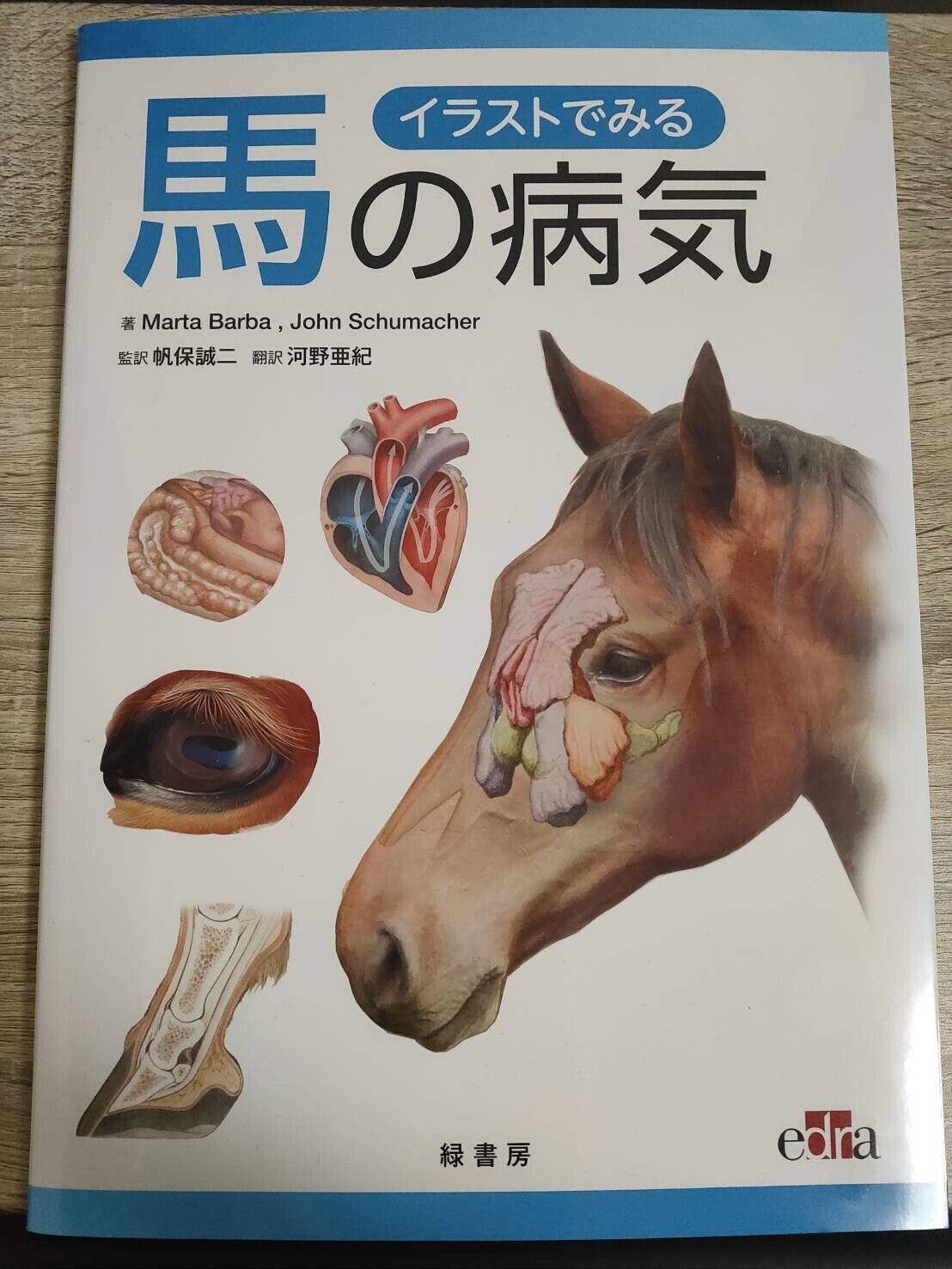 競走馬ハンドブック JRA 競馬 専門書 人文