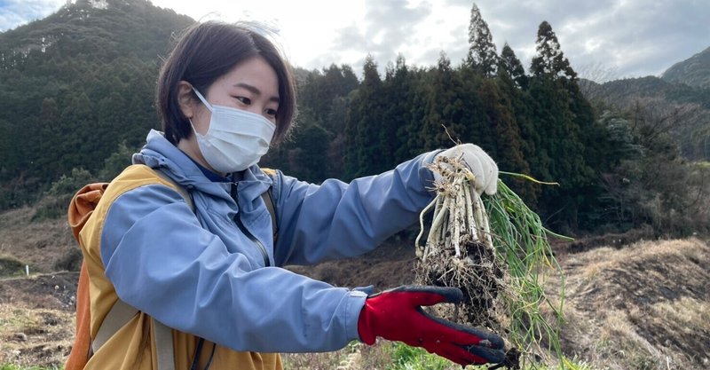 完全に山菜採りにハマってしまった件について。