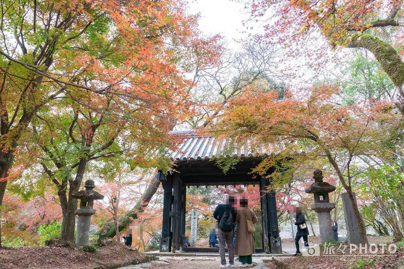 秋月城跡にある秋月中学校が凄い 旅々photo Note 秋月城跡にある秋月中学校が凄い 旅々photo Note