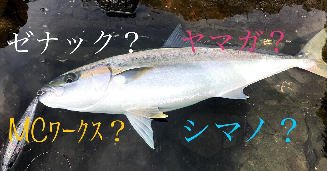 ショアキャスティング】初心者向け ロッドの選び方｜okada_tsuri