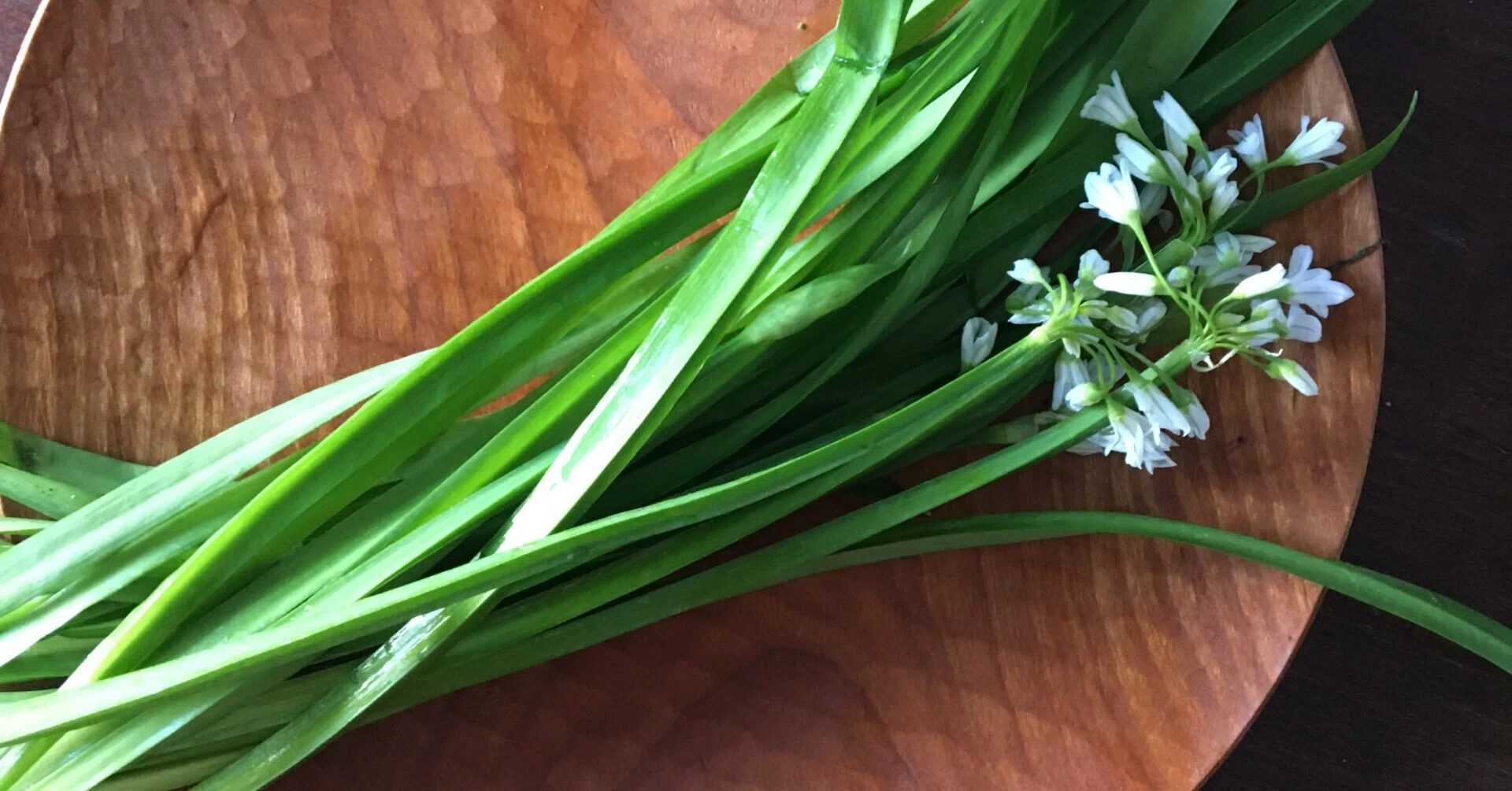 冬のスコットランドの海辺でみつけた植物で元気のでるごはんをつくる 作って食べる編 Walking Into Nature 02 Haruka Yazaki Note 冬のスコットランドの海辺でみつけた植物で元気のでるごはんをつくる 作って食べる編 Walking Into Nature 02 Haruka Yazaki Note