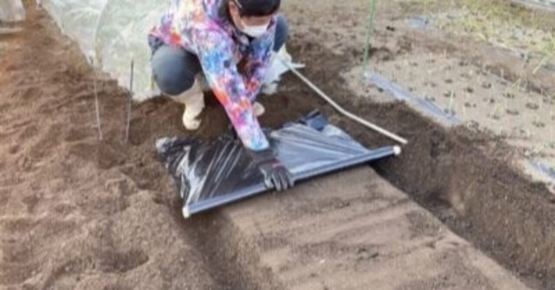 マルチの張り方 1人でできるビニールトンネル作業 井上寅雄農園 井上隆太朗 Note マルチの張り方 1人でできるビニールトンネル作業 井上寅雄農園 井上隆太朗 Note