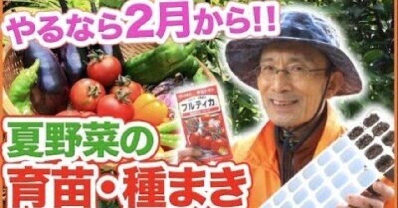 ピーマン ナス キュウリにも使える夏野菜の育苗 種まき方法を解説 家庭菜園 井上寅雄農園 井上隆太朗 Note