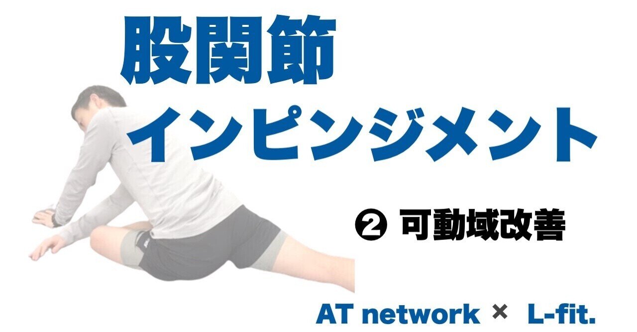 股関節インピンジメント 可動域改善 L Fit Note