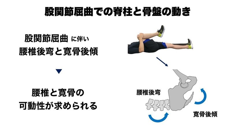股関節インピンジメント 可動域改善 L Fit Note