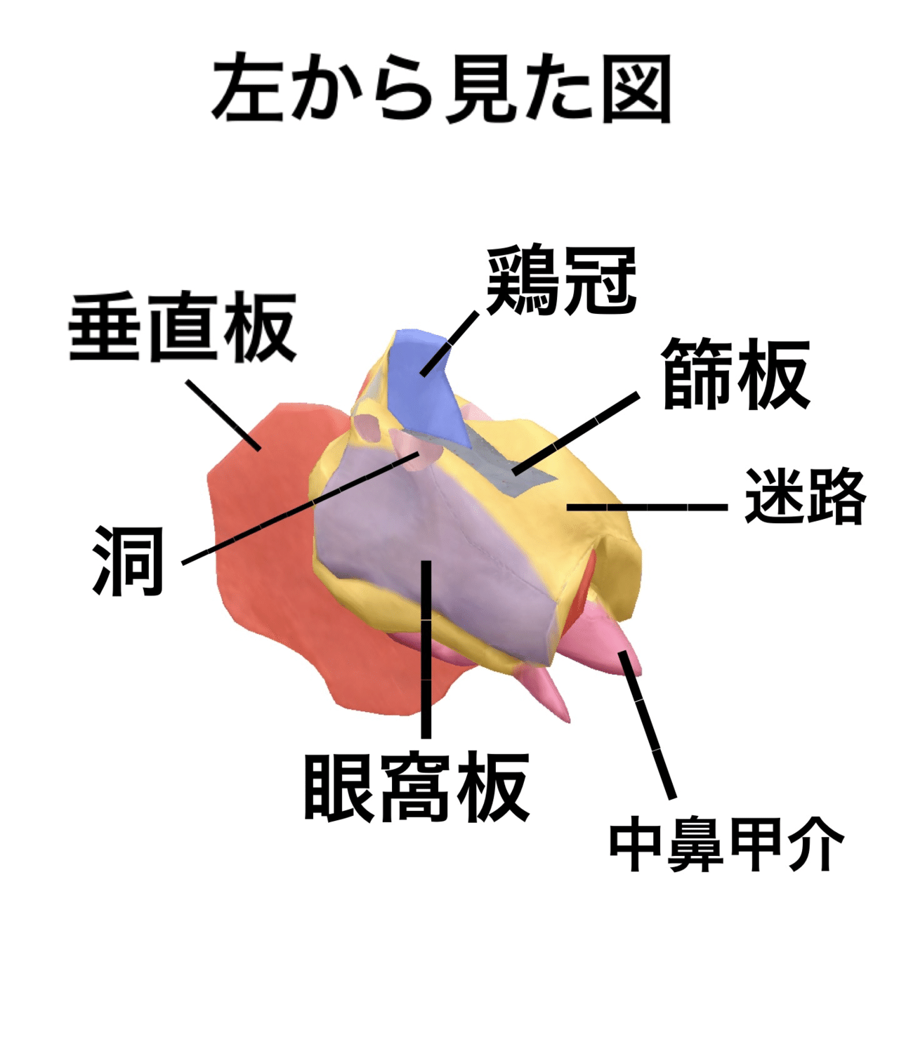 画像4