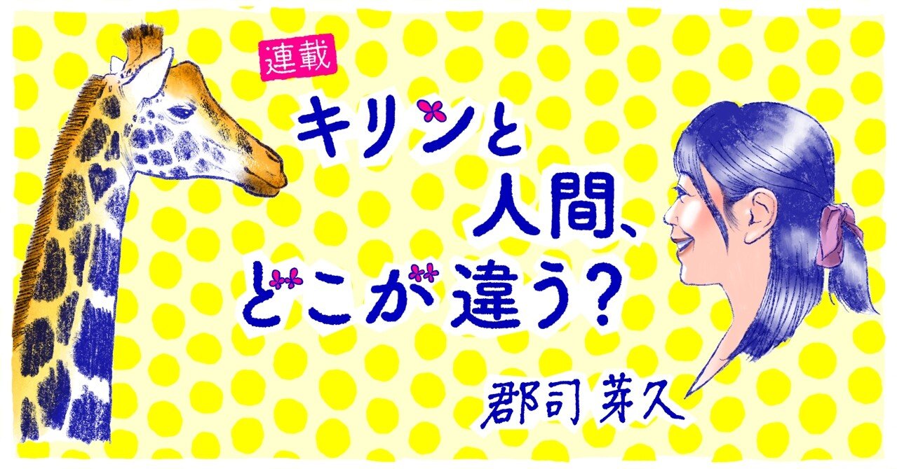 比べてみると 生き物の体のしくみが見えてくる キリンと人間 どこが違う 郡司芽久 本がひらく