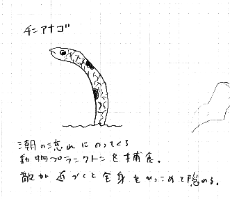 しんどい毎日に耐えてたら深海魚のキャラクターが生まれた話 Vol 2 深海のきょむ Note しんどい毎日に耐えてたら深海魚のキャラクターが生まれた話 Vol 2 深海のきょむ Note