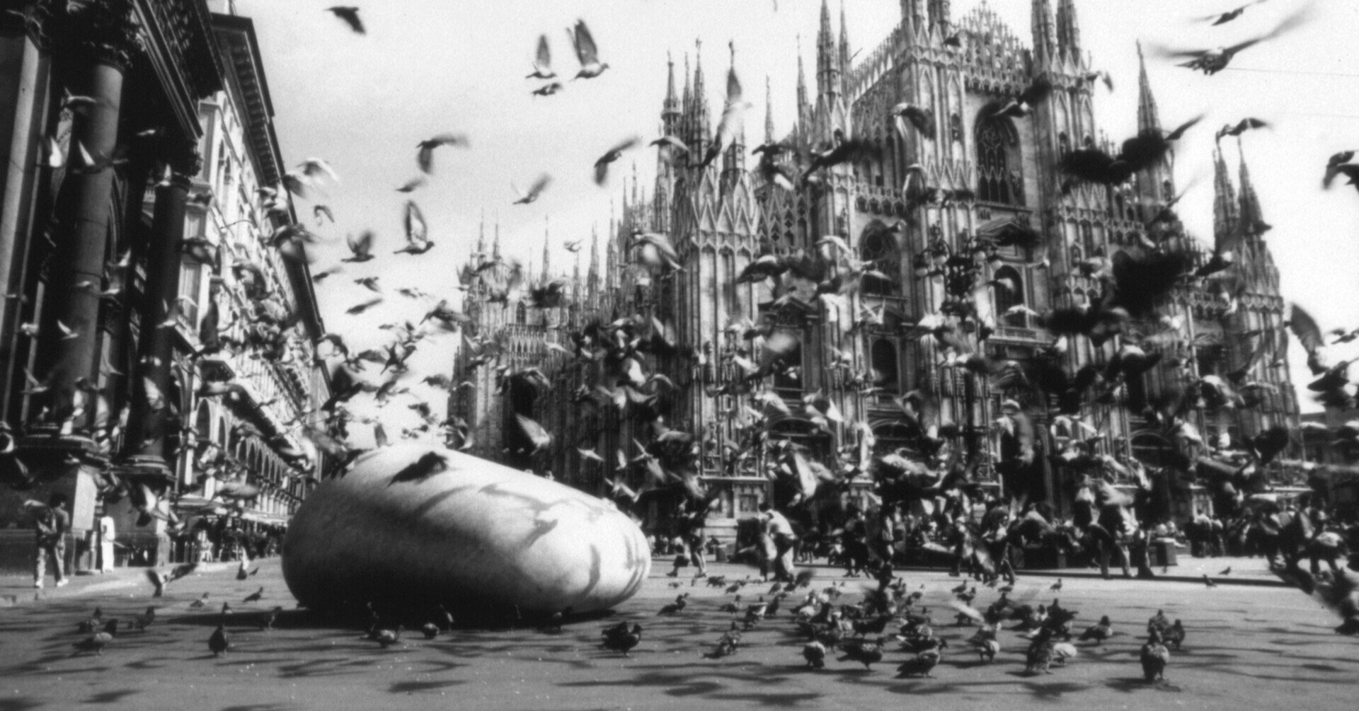 2025年最新】安田 サインの人気アイテム - メルカリ 安田侃 本物シルク