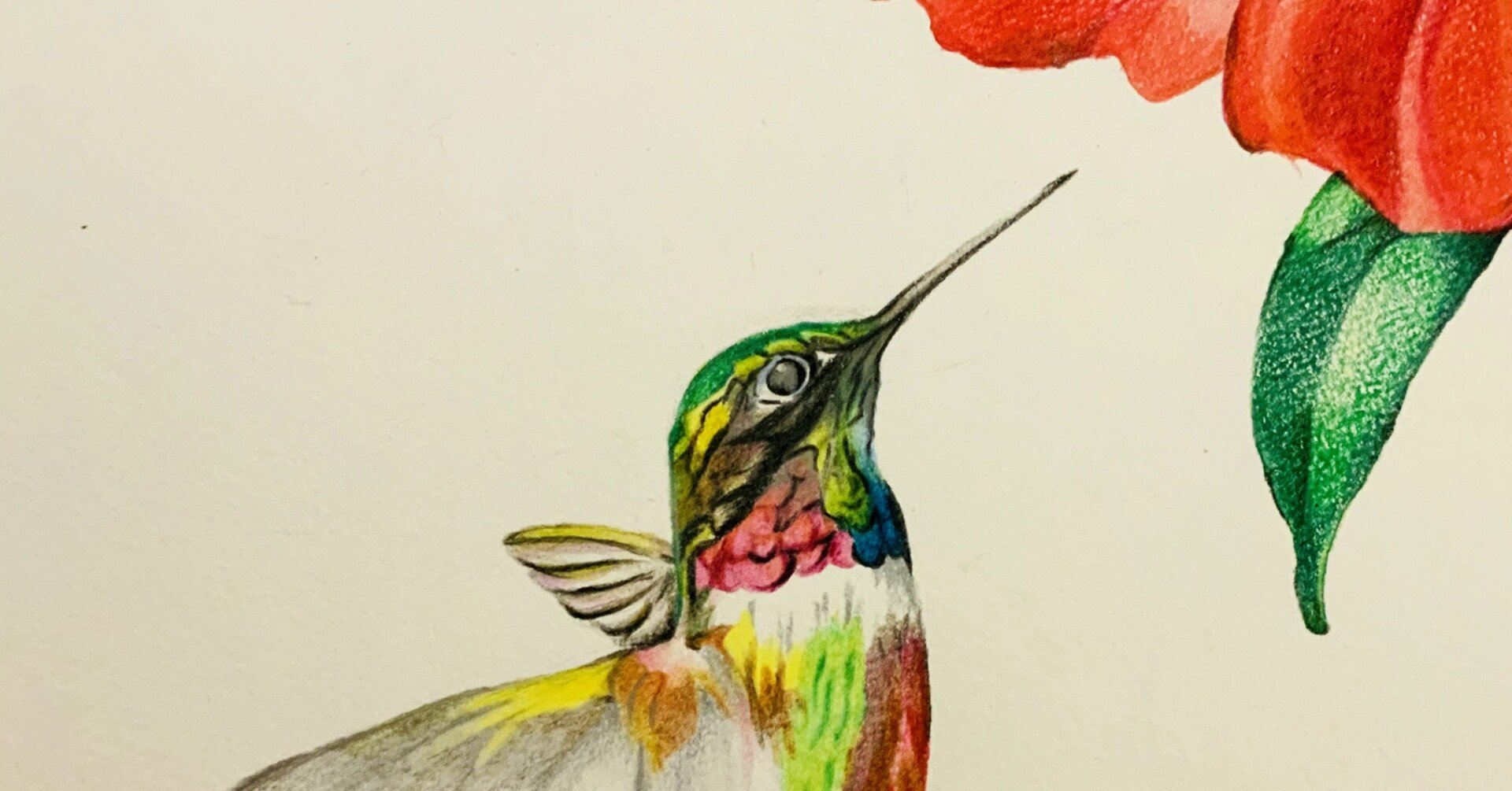 ハミングバードな私がnoteをはじめる理由 ハチドリ Note