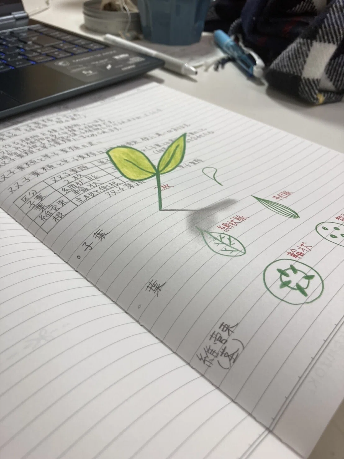 画像13