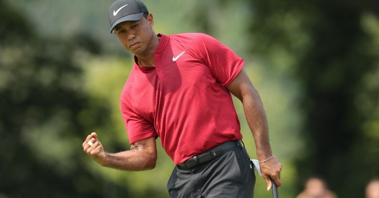 タイガー ウッズはなぜ対戦相手のパット中に 入れ と念じるのか しんくま Note