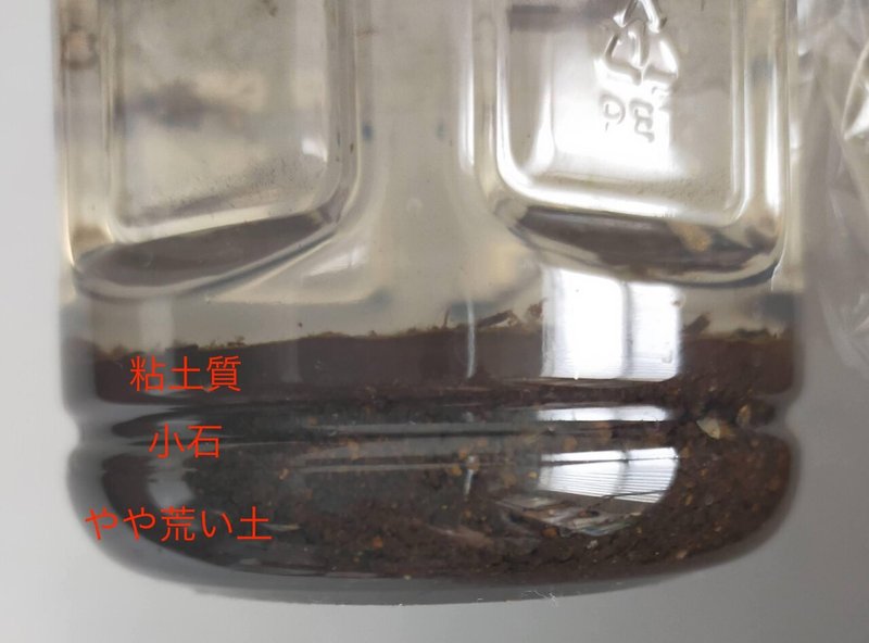 ナスを縞剥きすると 理科の実験ができる ナスの皮で 土の酸性度を調べる おいしい煮物もできあがり Kajyukalabo