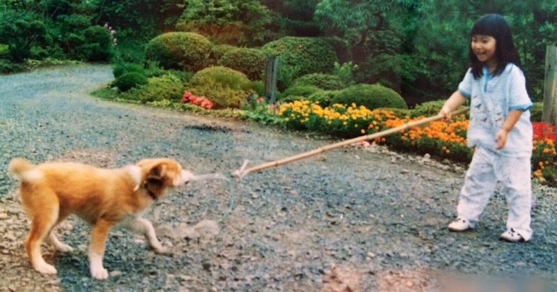 なぜ動物たちは私より妻にばかりなつくのか 戌一 いぬいち Note