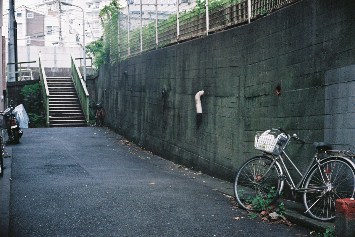 Yashica Electro 35 - フィルムカメラレビュー｜Hisa Foto