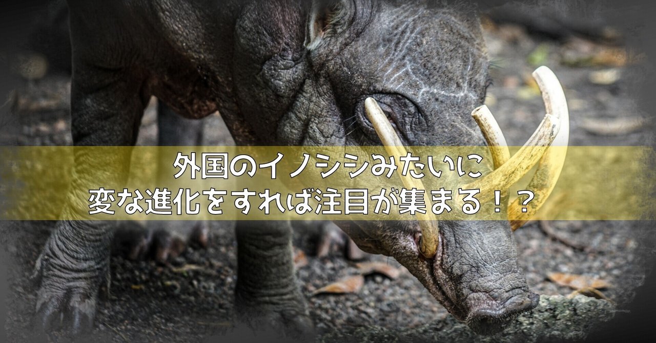 外国のイノシシみたいに変な進化をすれば注目が集まる 佳和里おーな Note 外国のイノシシみたいに変な進化をすれば注目が集まる 佳和里おーな Note