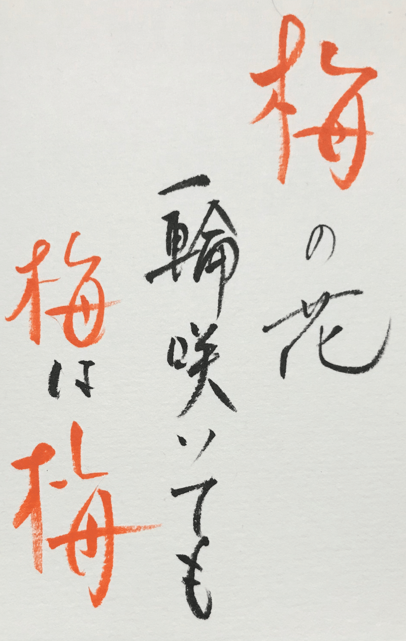 梅の花 ど みんご Note