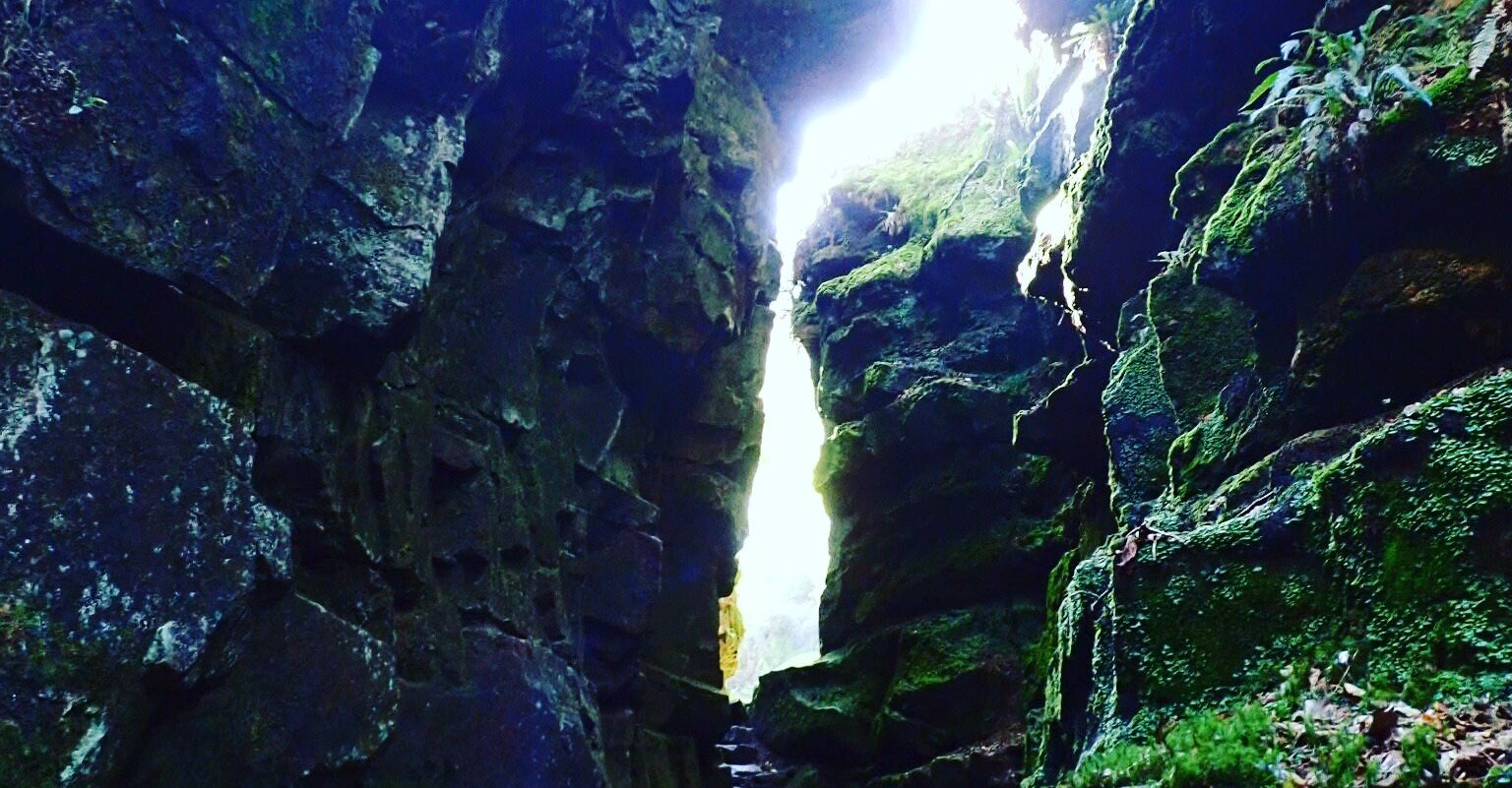 51ce0f447e978539241f16fdc001a3