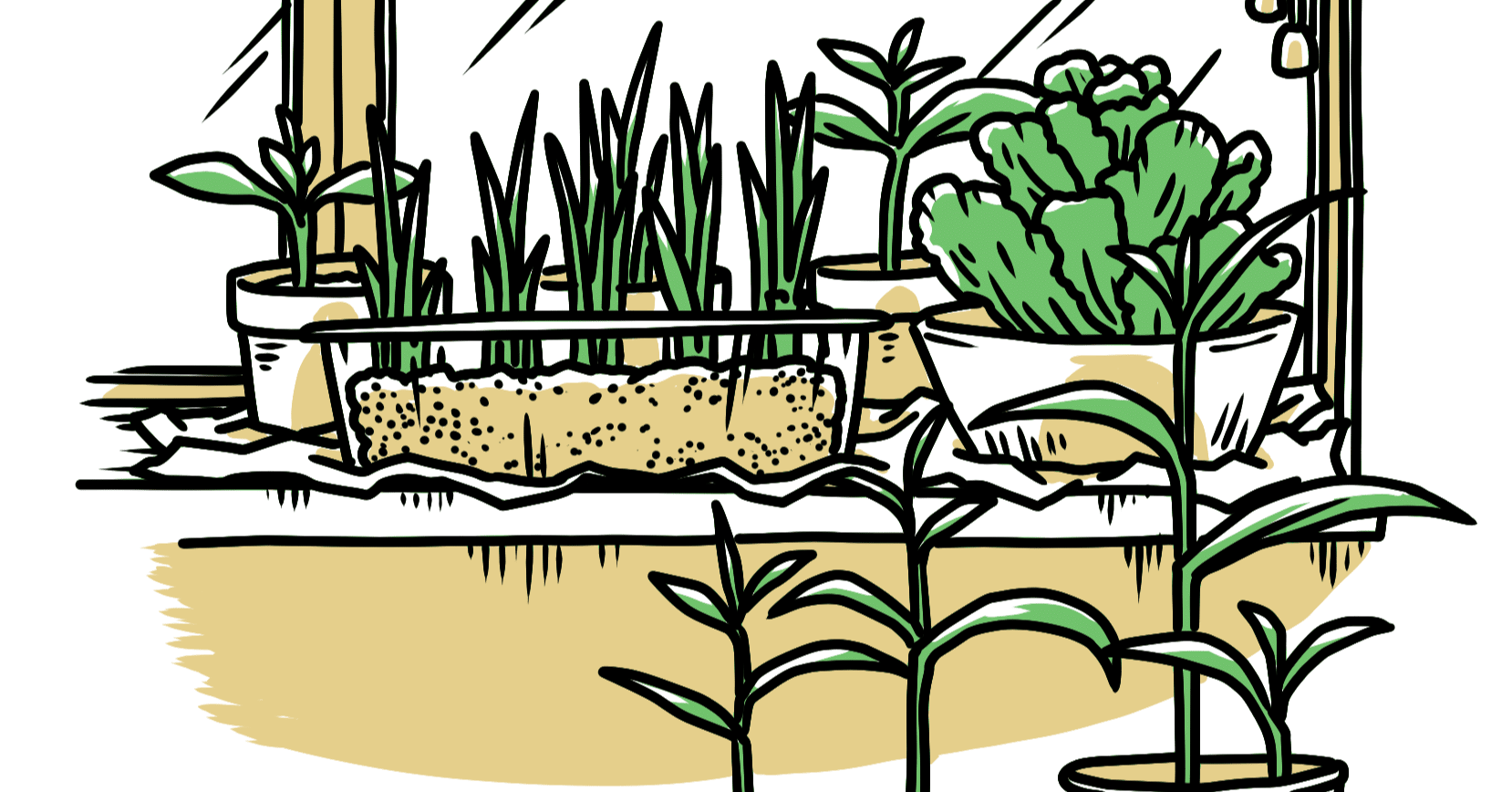 My Garbage Garden ごみ食う日々 英語版 Q Yoneda Note