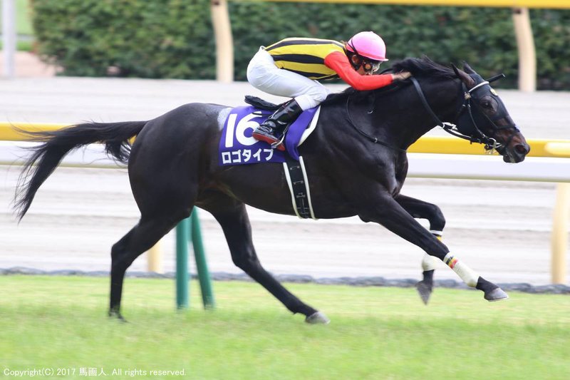 第67回 安田記念 蔵出し写真 17年 サトノアラジン 馬画人 まがじん Note