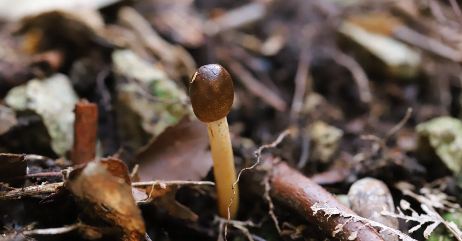 2cc7716809fd1edfa51f27fad57698