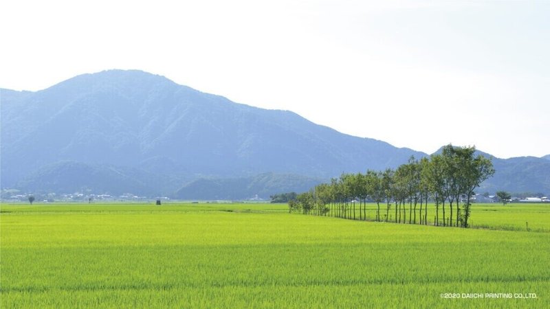 越後平野_夏井のハザ木-1024x576