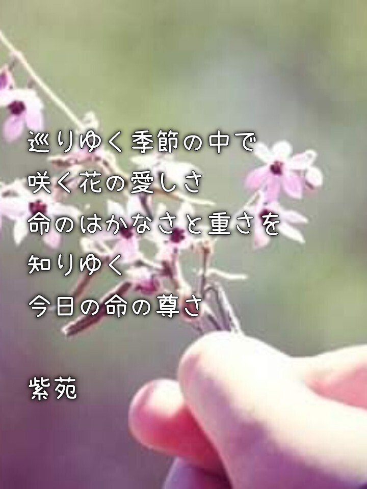 尊き命 紫苑 Note 尊き命 紫苑 Note