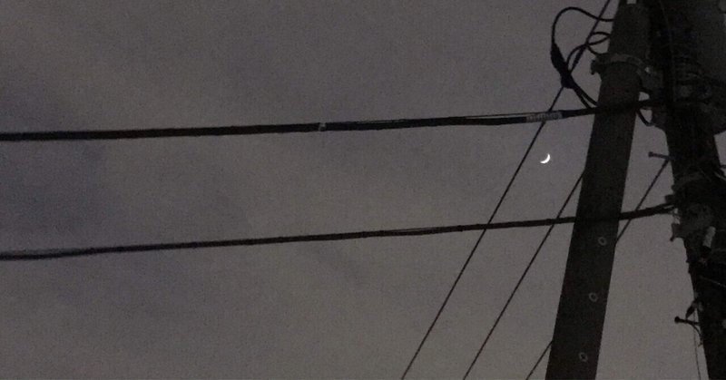 私にとって世界はまだ寂しすぎる ゆりことり Note