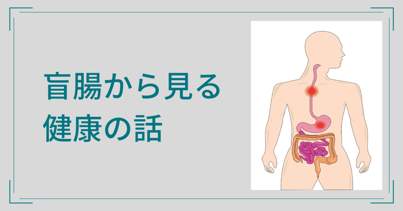 虫垂から見る 菌 の役割 ナチュラルセラピスト 寿 Kotobuki Note 虫垂から見る 菌 の役割 ナチュラルセラピスト 寿 Kotobuki Note