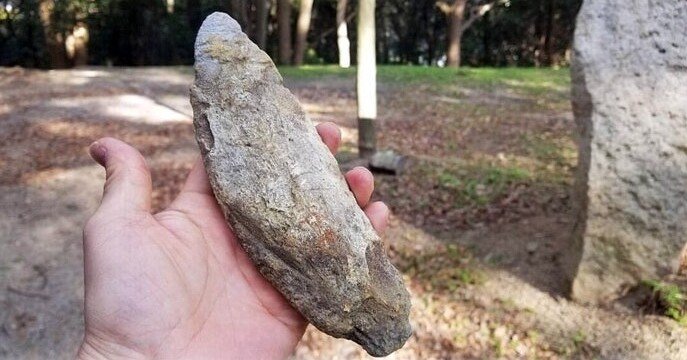 18c808c8bdc60f3285b0431a76241b