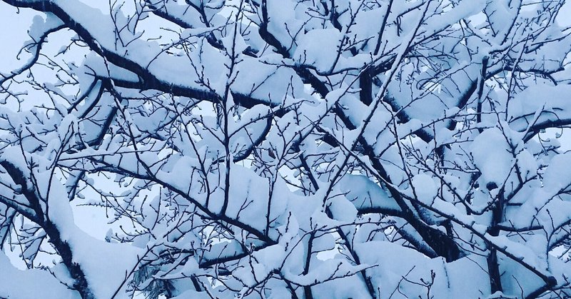 雪から生まれた子供 フランス民話より 舞夢 Note