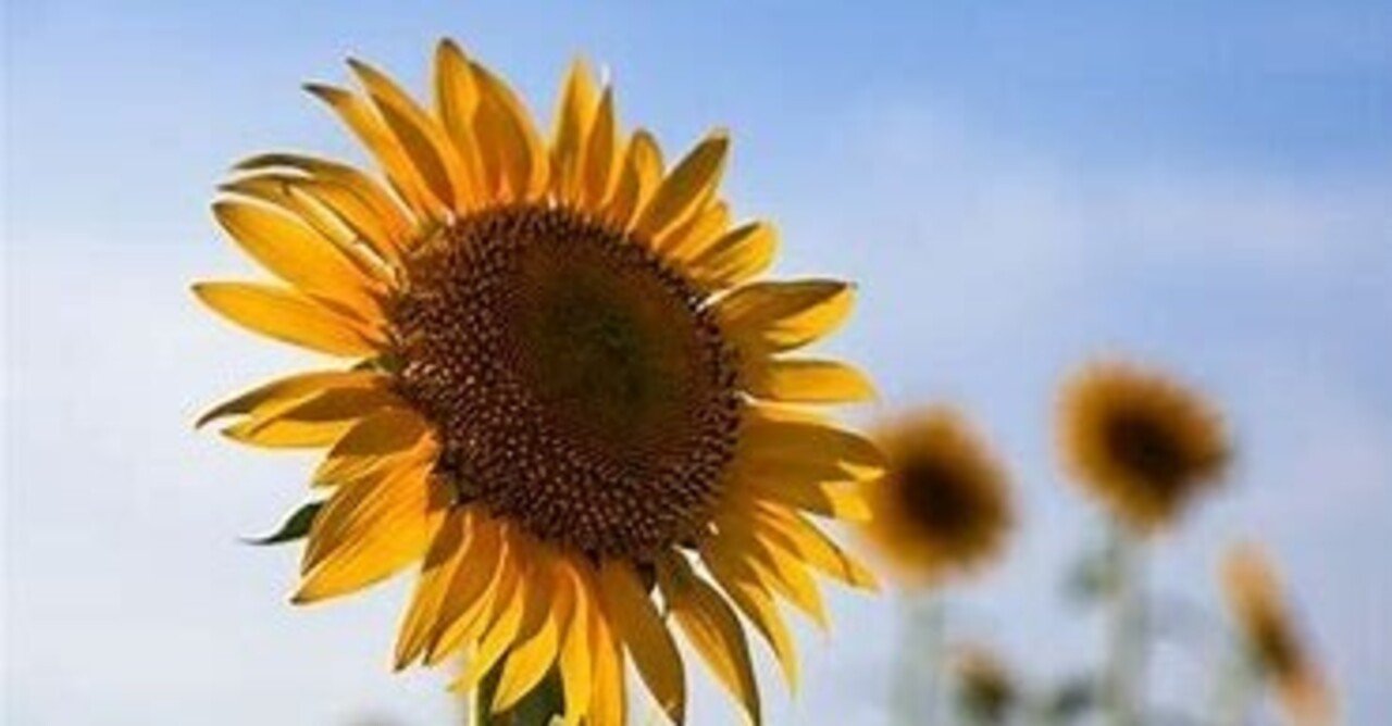 あなたの志はなんですか さとさとる Note