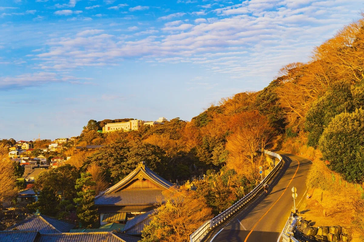 画像5