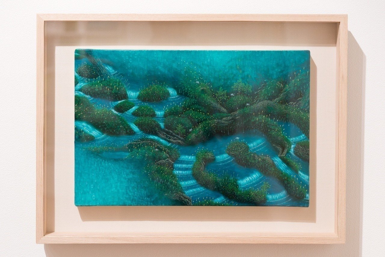 屋久島の癒しが東京に！水の森展に行ってきた話。｜横田 裕市/写真家