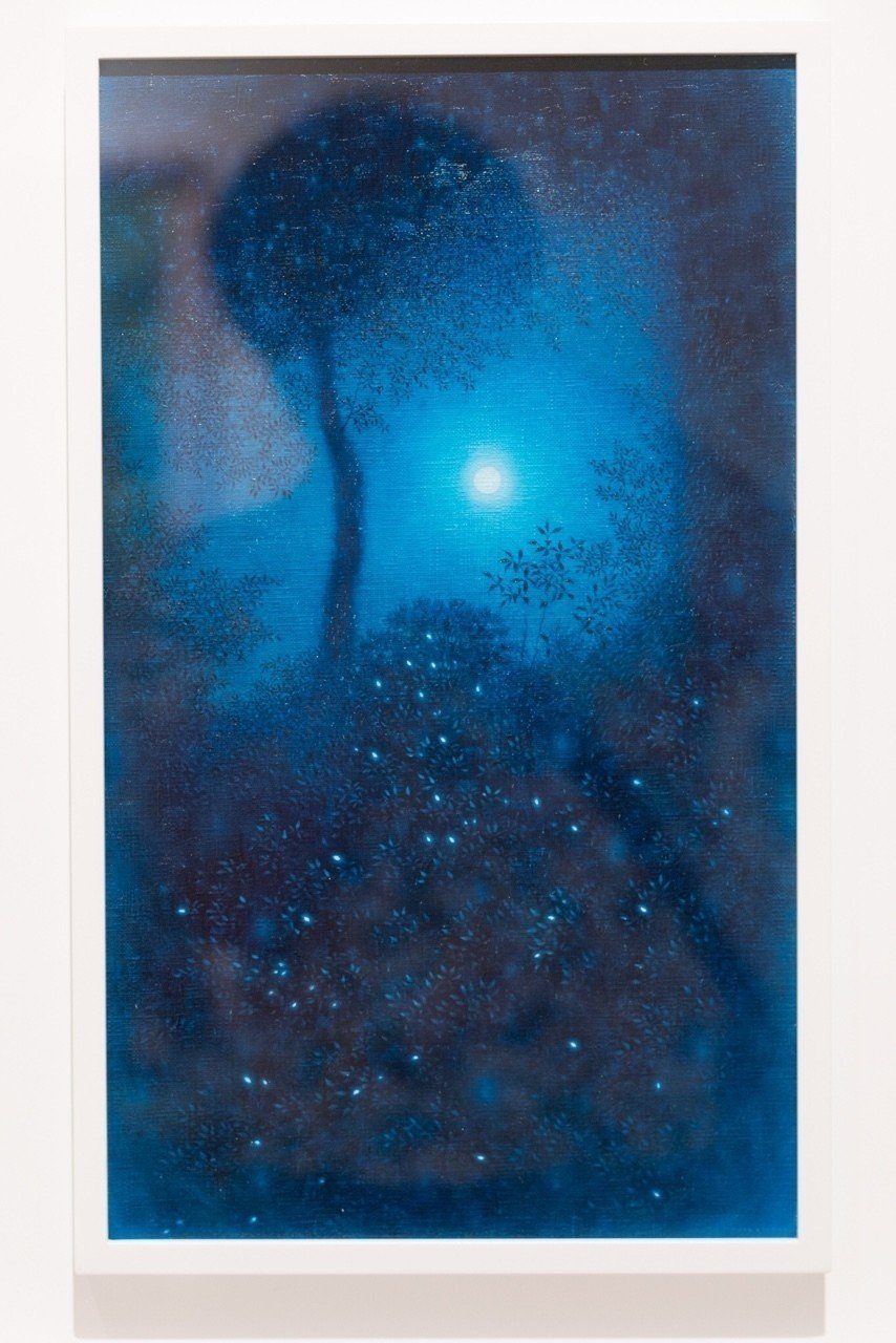 屋久島の癒しが東京に！水の森展に行ってきた話。｜横田 裕市/写真家