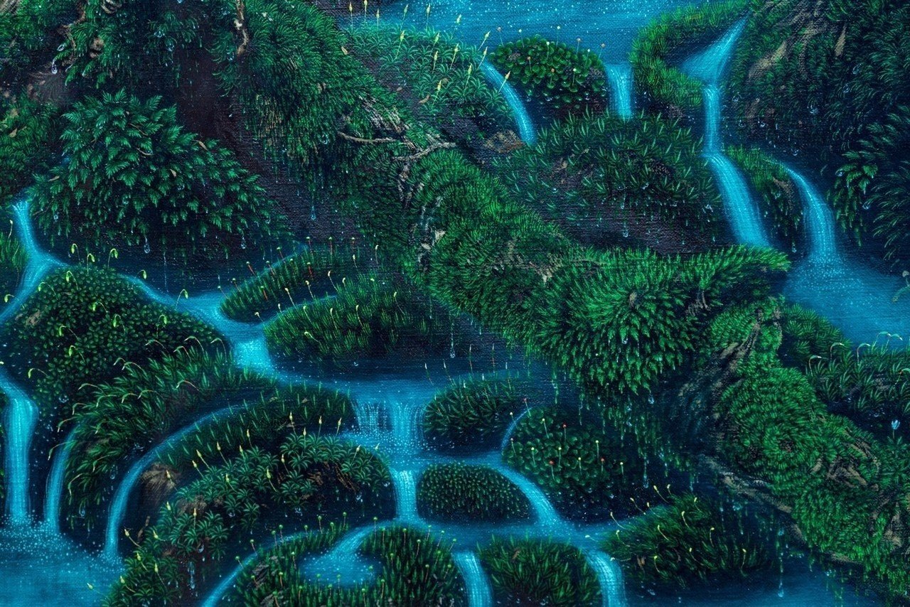 屋久島の癒しが東京に！水の森展に行ってきた話。｜横田 裕市/写真家