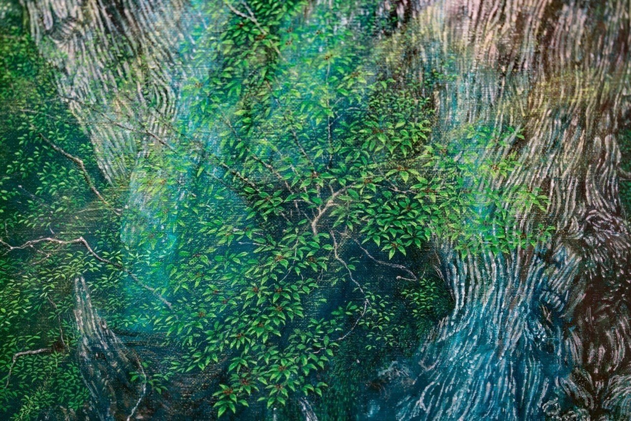 屋久島の癒しが東京に！水の森展に行ってきた話。｜横田 裕市/写真家