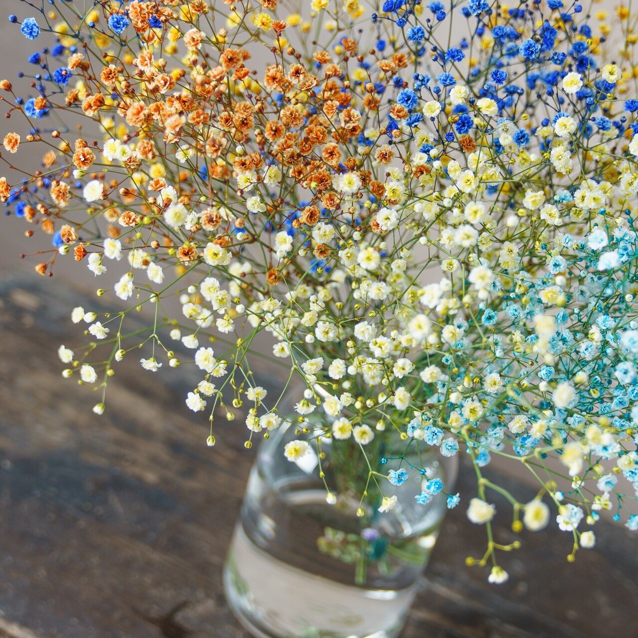 ドライフラワーにしやすいお花40選 Greenpiece Note ドライフラワーにしやすいお花40選 Greenpiece Note