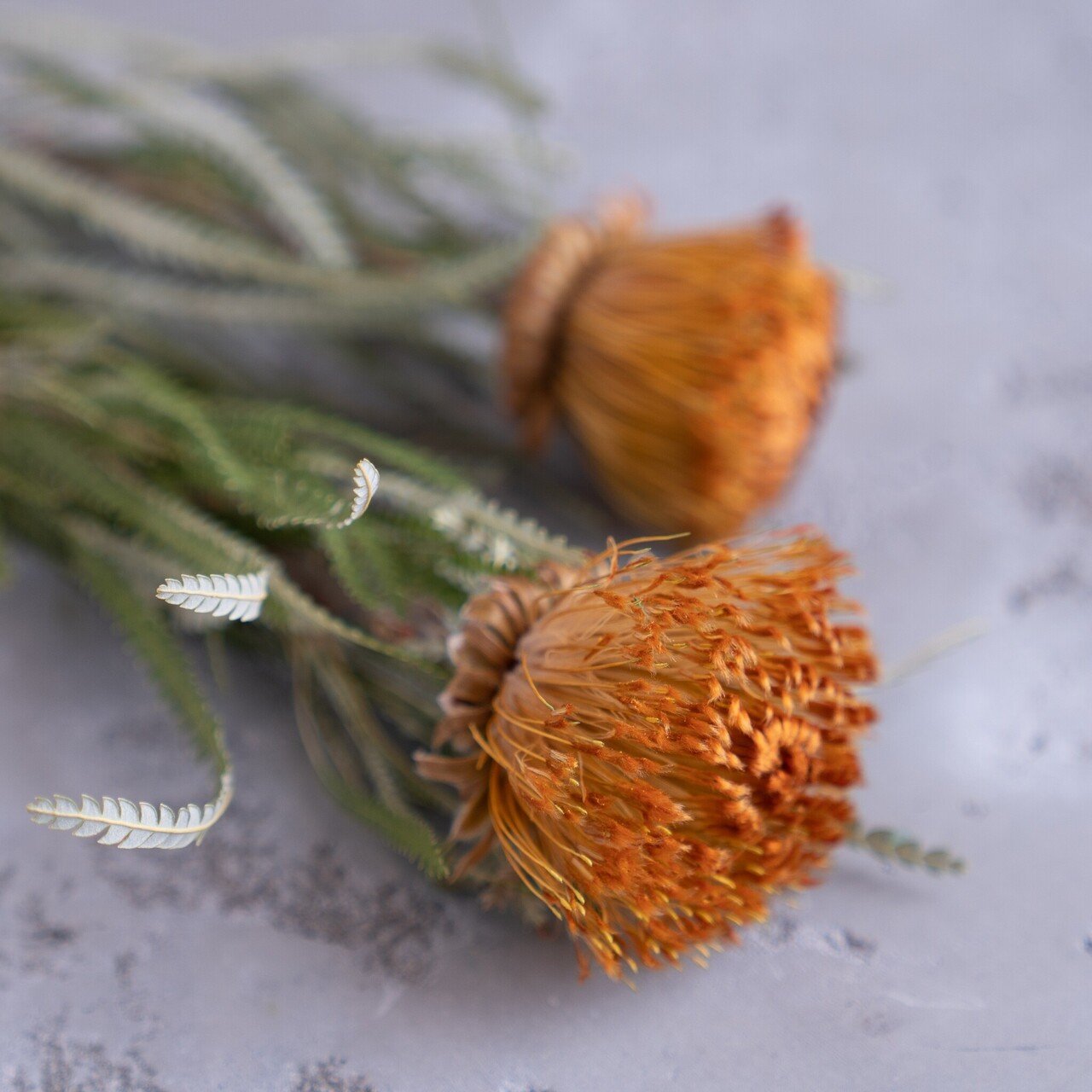 ドライフラワーにしやすいお花40選 Greenpiece Note ドライフラワーにしやすいお花40選 Greenpiece Note