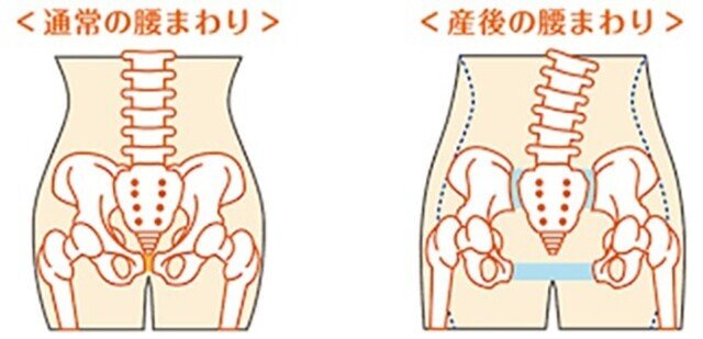 知らなかった 妊婦になって気づいたこと すみれ Note