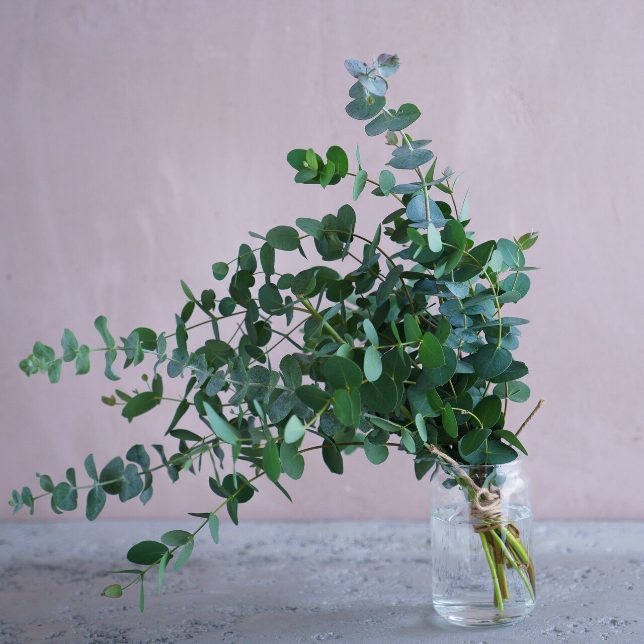 ドライフラワーにしやすいお花40選 Greenpiece Note ドライフラワーにしやすいお花40選 Greenpiece Note