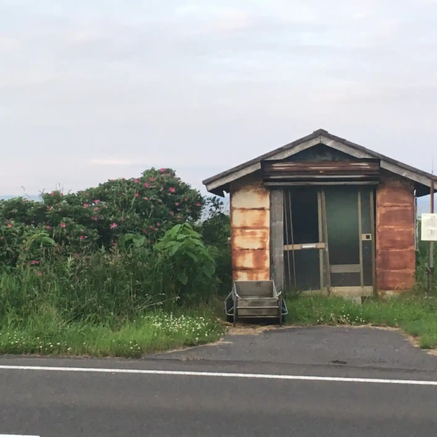 工藤志昇