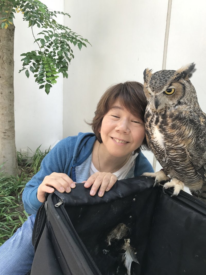 動物とおしゃべりする方法 田口ランディ Note