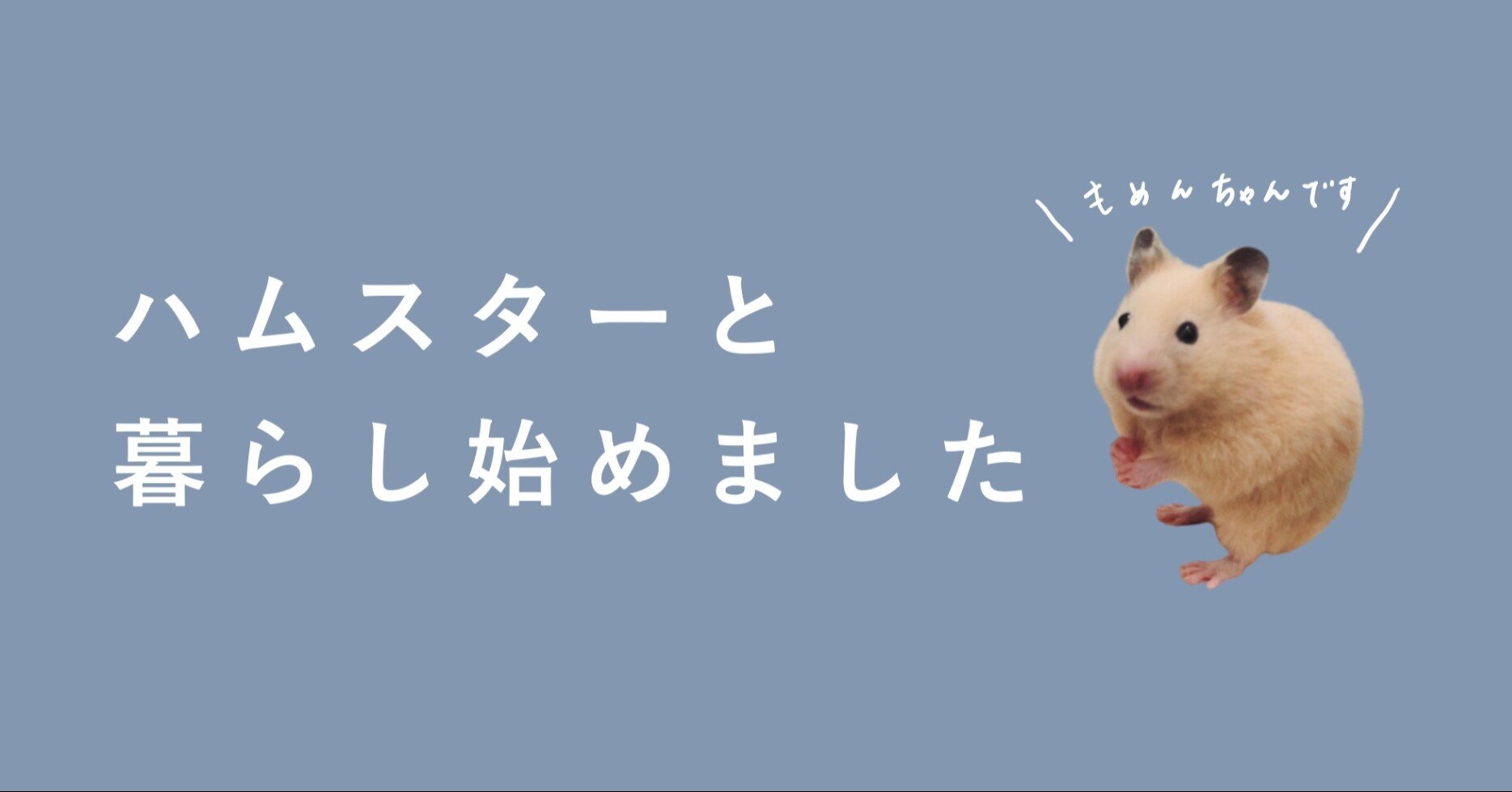 ハムスターと暮らし始めました 小さな瞳に毎日萌え萌え 果歩 Note