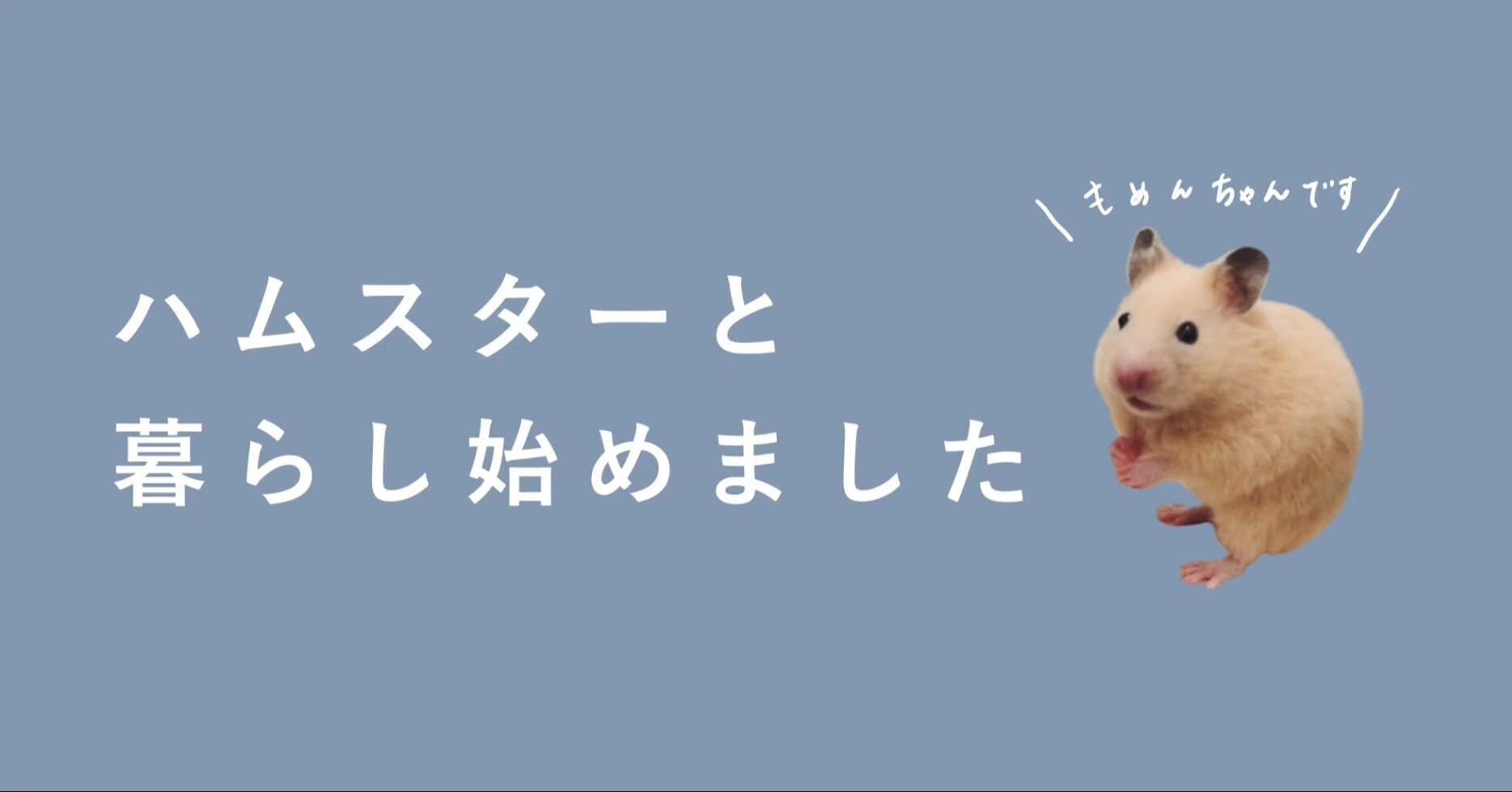 ハムスターと暮らし始めました。小さな瞳に毎日萌え萌え。｜果歩